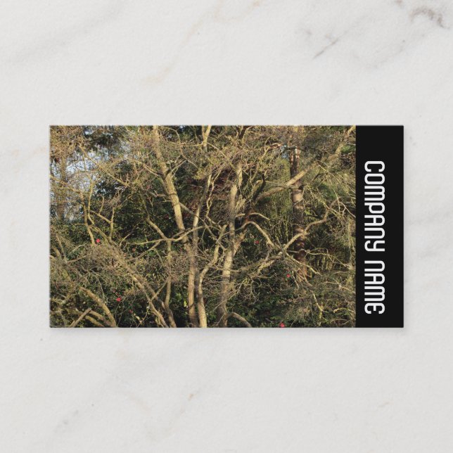 Side Band -  Golden Branches Business Card (Front)