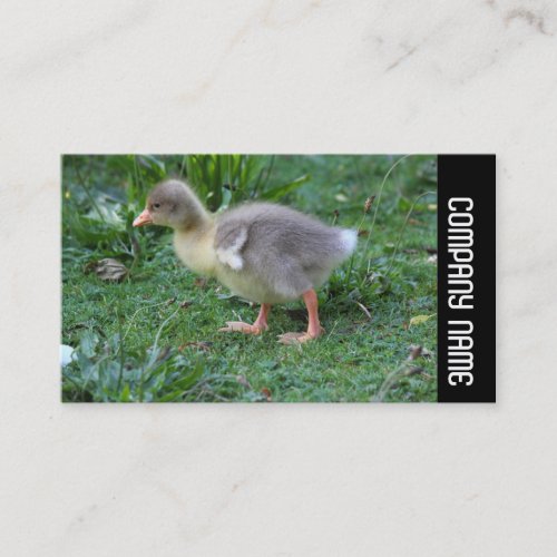 Side Band _  Gosling 02 Business Card