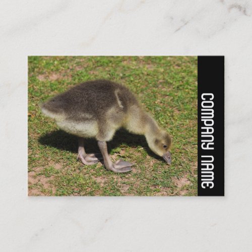 Side Band _ Gosling Business Card