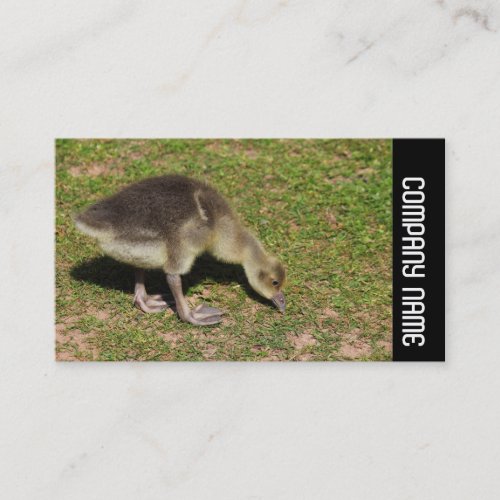 Side Band _  Gosling Business Card