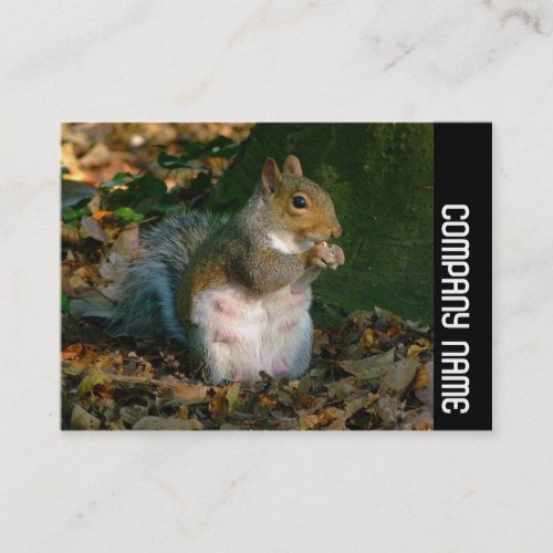 Side Band _ Grey Squirrel Business Card