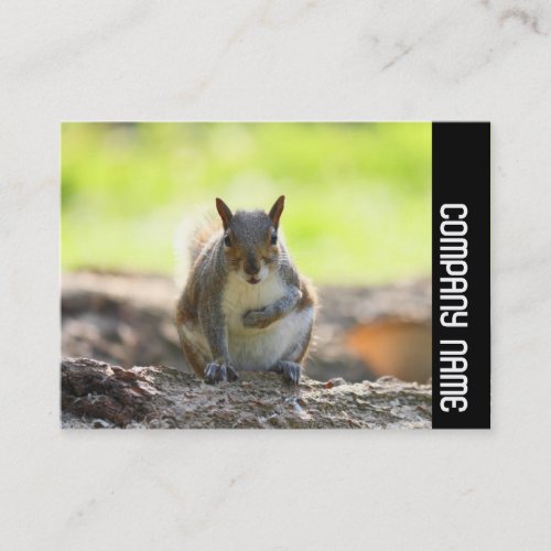 Side Band _ Grey Squirrel Business Card