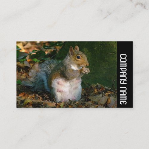 Side Band _ Grey Squirrel Business Card