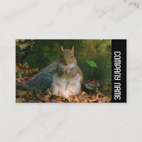 Side Band _ Grey Squirrel Business Card