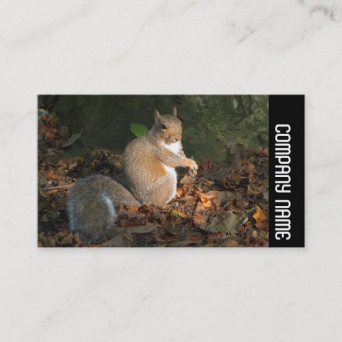 Side Band _ Grey Squirrel Business Card