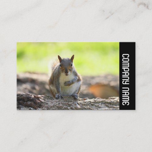 Side Band _  Grey Squirrel Business Card