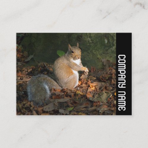 Side Band _ Grey Squirrel Business Card