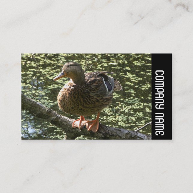 Side Band - Happy Duck Business Card (Front)