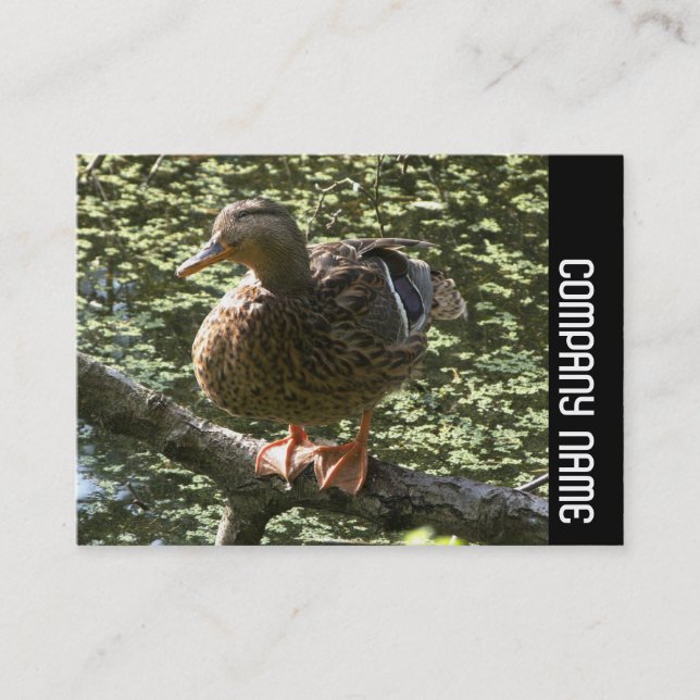 Side Band - Happy Duck Business Card (Front)