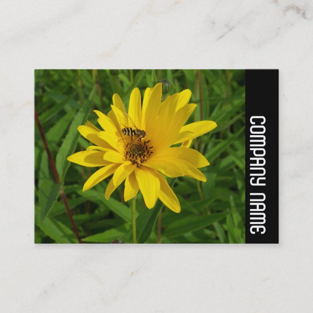 Side Band - Hover Fly on a Yellow Chrysanthemum Business Card (Front)