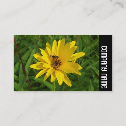 Side Band _ Hover Fly on a Yellow Chrysanthemum Business Card