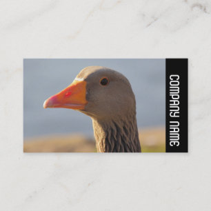 Side Band -  Inquisitive Greylag Goose Business Card