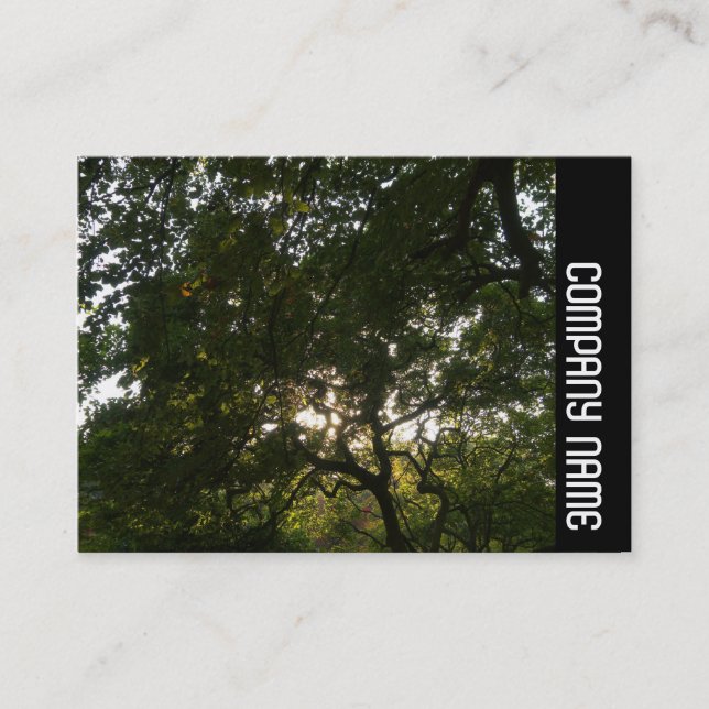 Side Band - Japanese Branches 04 Business Card (Front)