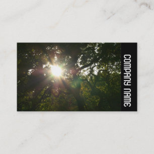 Side Band - Japanese Branches 07 Business Card