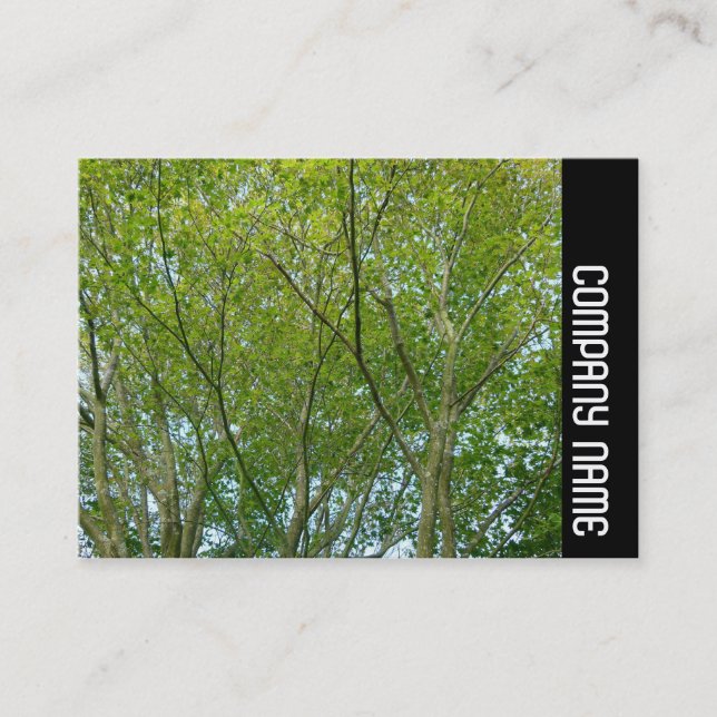 Side Band - Japanese Maple Business Card (Front)