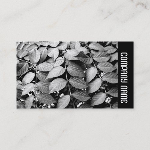 Side Band _ Leaves Business Card