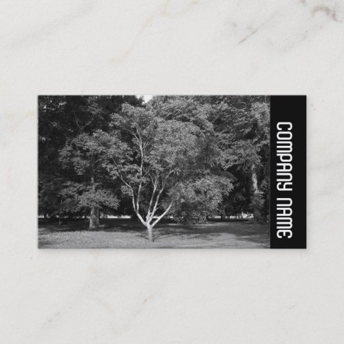 Side Band _  Magnolia Tree BW Business Card