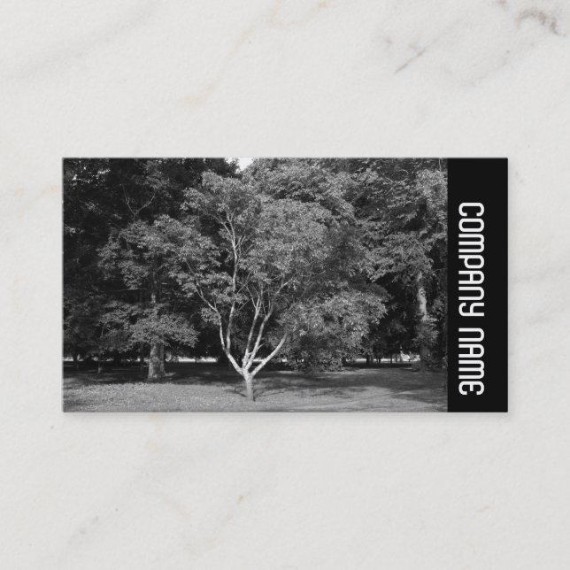Side Band -  Magnolia Tree BW Business Card (Front)