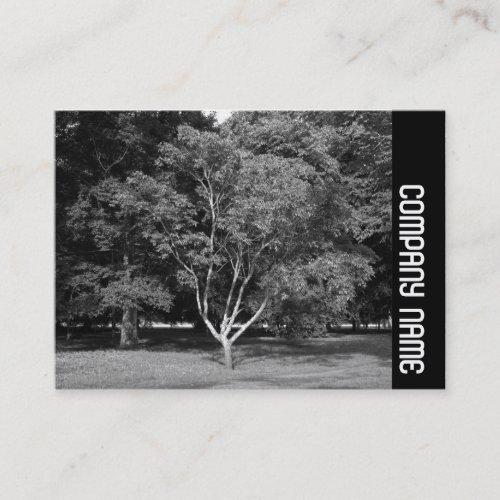 Side Band _ Magnolia Tree BW Business Card