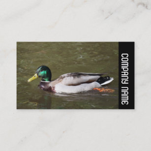 Side Band -  Mallard Duck Business Card