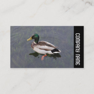 Side Band - Mallard Duck Business Card
