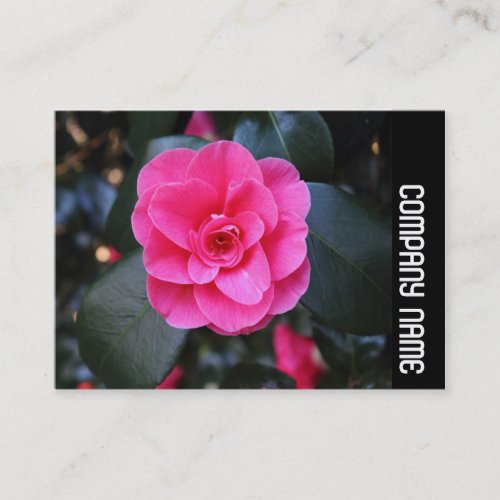 Side Band _ Pink Camellia Business Card