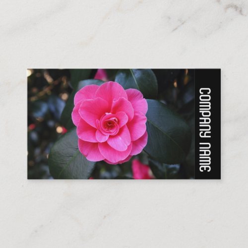 Side Band _  Pink Camellia Business Card
