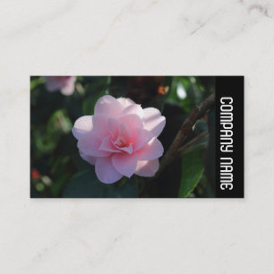 Side Band - Pink Camellia Business Card