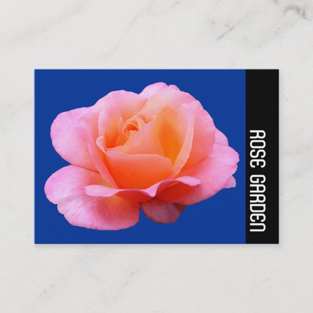 Side Band - Pink Rose (Deep Blue) Business Card (Front)