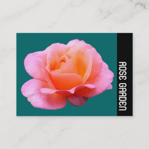 Side Band - Pink Rose (Moss Green) Business Card