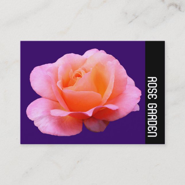 Side Band - Pink Rose (Moss Green) Business Card (Front)