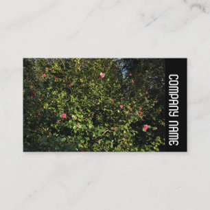 Side Band - Red Camellia Bush Business Card