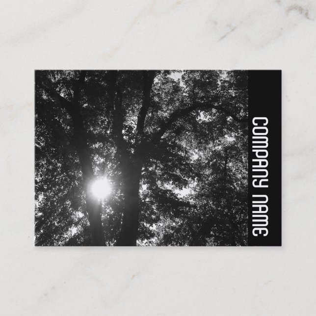 Side Band - Sun Through Trees B&W Business Card (Front)