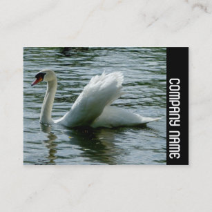 Side Band - Swan Business Card