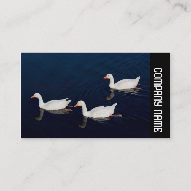 Side Band - Three Emden Geese Business Card (Front)