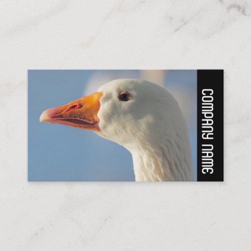Side Band _  White Goose Business Card