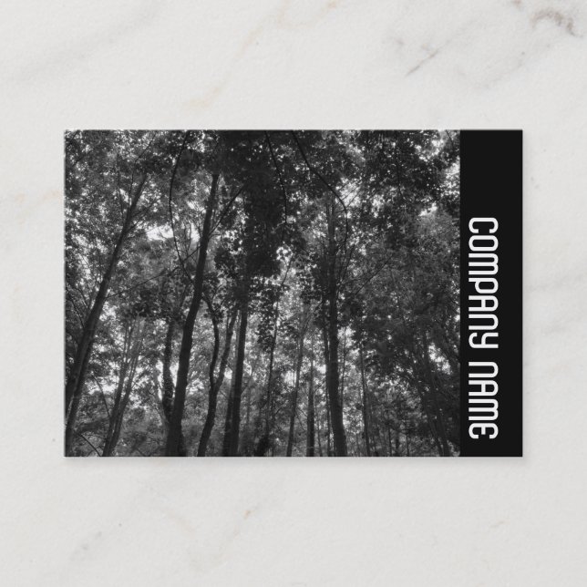 Side Band - Woodland Canopy 02 BW Business Card (Front)