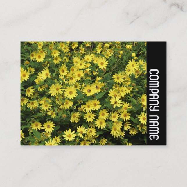Side Band - Yellow Daisies Business Card (Front)