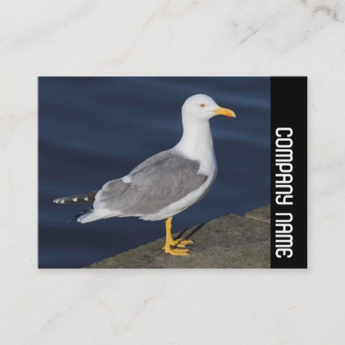 Side Band _ Yellow_Legged Gull Business Card