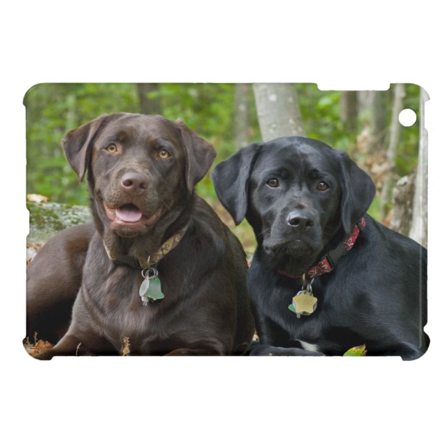Side By Side Labrador Retriever Dogs Outside iPad Mini Cover (Back Horizontal)