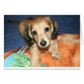 side by side or miles apart (Front Horizontal)