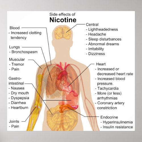 Side Effects of Nicotine on the Human Body Chart