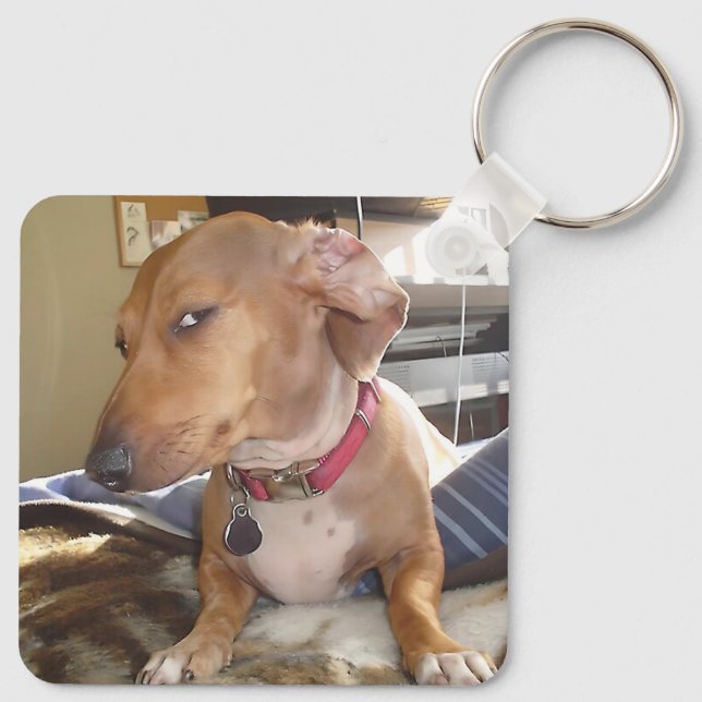 Side Eye Dog Meme Double Sided Keychain (Back)
