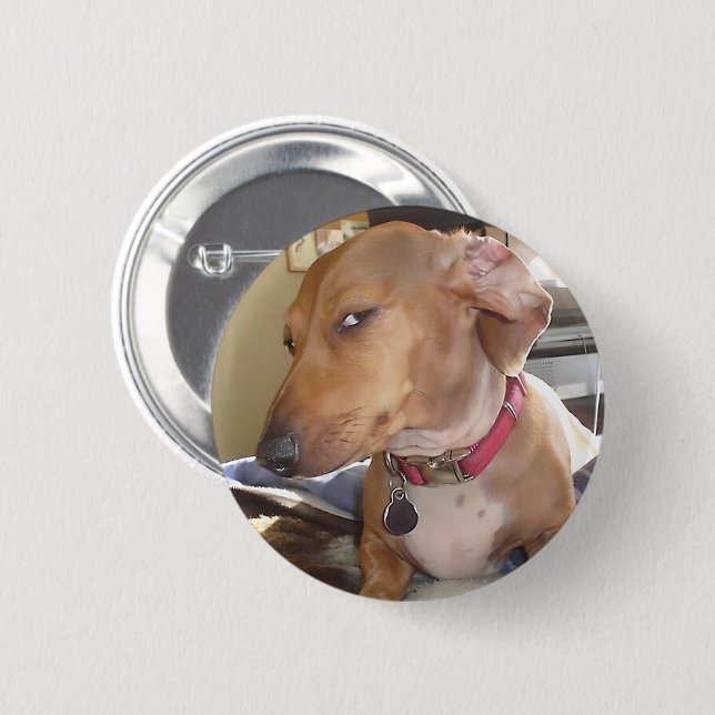 Side Eye Dog Meme Pin Button (Front & Back)