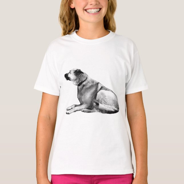 Side-Lit Guardian T-Shirt (Front)