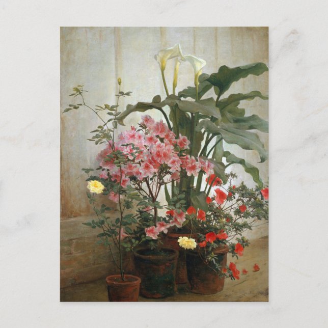Side of a Greenhouse by George Cochran Lambdin Postcard (Front)