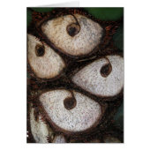 Side of Palm (Front)