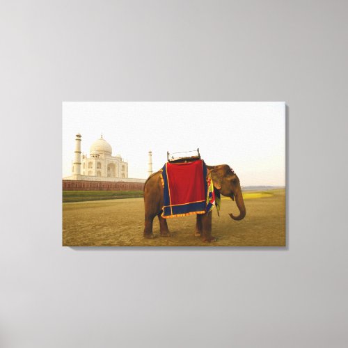 Side profile of an elephant Taj Mahal India Canvas Print