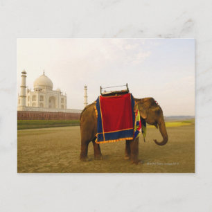 Side profile of an elephant, Taj Mahal, India Postcard
