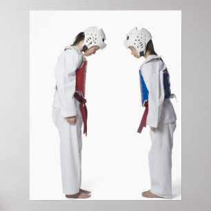 Side profile of two taekwondo players bowing poster